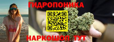 сатива Северобайкальск
