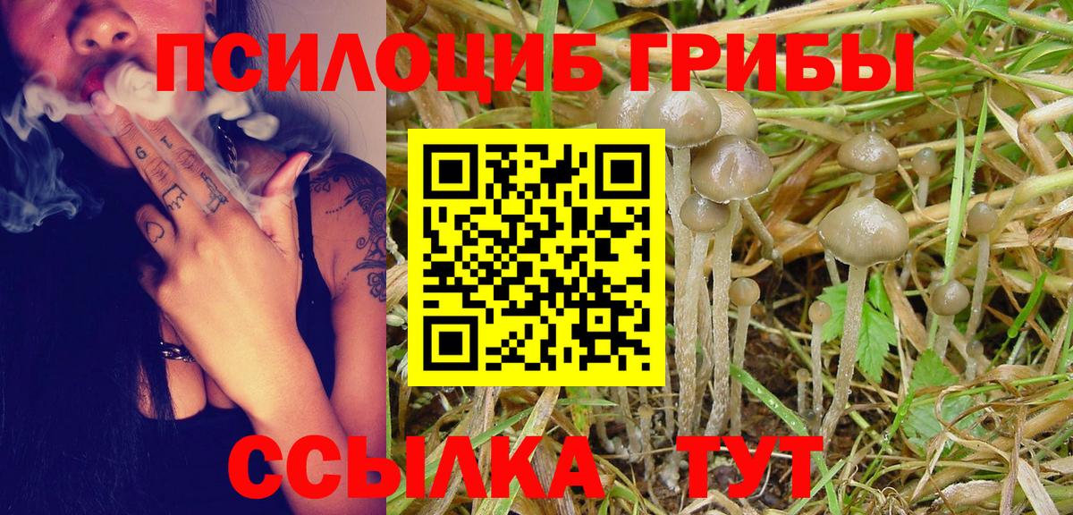 купить наркотик  Вход с VPN  Скопин  Псилоцибиновые грибы ЛСД 