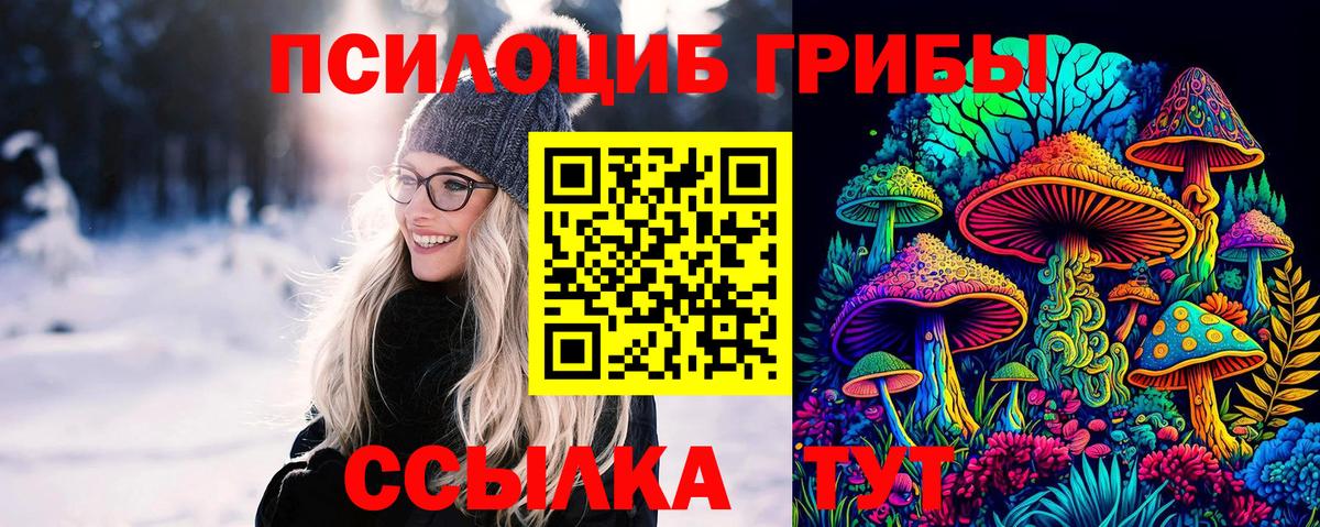 Псилоцибиновые грибы MAGIC MUSHROOMS Скопин